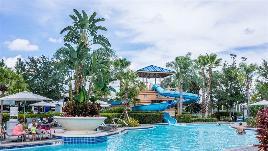 A busy resort pool with water slides and palm trees